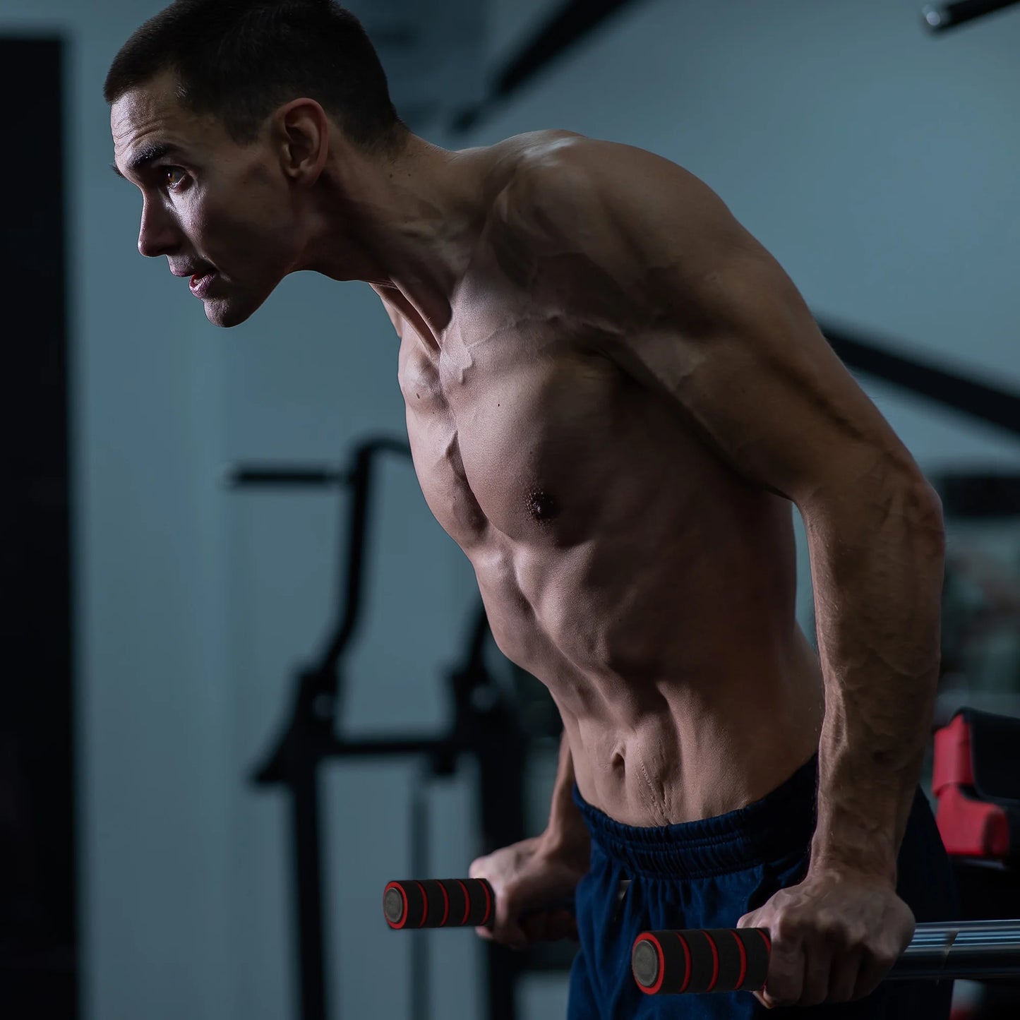 Steel Frame Dip Station with Adjustable Height, 500 Lb Weight Capacity, White